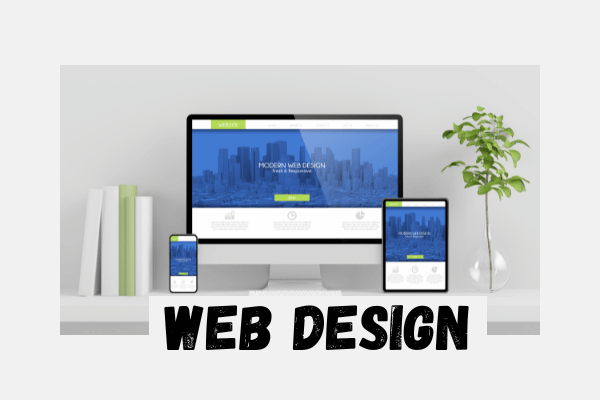 Web Design in Allambie Heights - 2100
